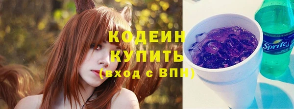 ешки Горняк