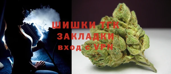 ешки Горняк