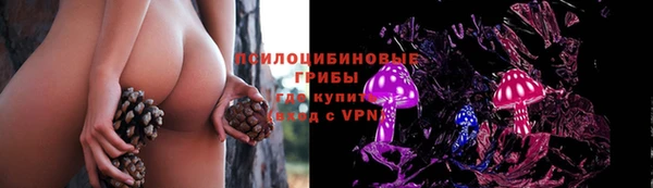 ешки Горняк