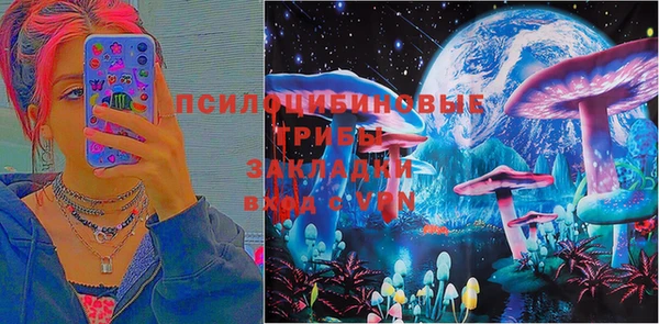 mdpv Гусиноозёрск