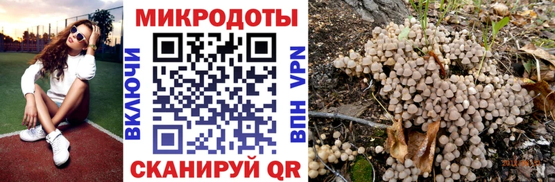 Псилоцибиновые грибы Magic Shrooms  Купить закладки  Зверево 